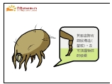 塵蹣的腳底附有鈎狀構造(螯肢),及可抓握物體的吸根