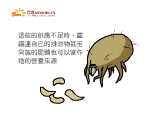 這些的供應不足時,塵蹣連自己的排泄物甚至同族的屍體也可以當作牠的營養來源