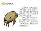 幾千年來,室內塵蹣 與人類共同生存。在現代的屋中,塵蹣主要以皮屑及指甲掉落殘屑為主食,也在任何適合符合其生存的地方棲息。室內塵蹣主要在陰暗潮濕、溫暖和通風不佳處出入;因此床墊、枕頭、沙發、絨毛玩具和厚地毯成為塵蹣主要的活動繁殖地帶