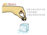 放置冰箱冷凍24小時可殺死塵蹣,之後記得要再清洗過