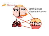 這裡有細胞黏膜, 它把細胞連結在一起