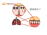 塵蟎排泄物來了