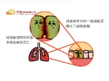 破壞細胞間的相連會導致細胞死亡